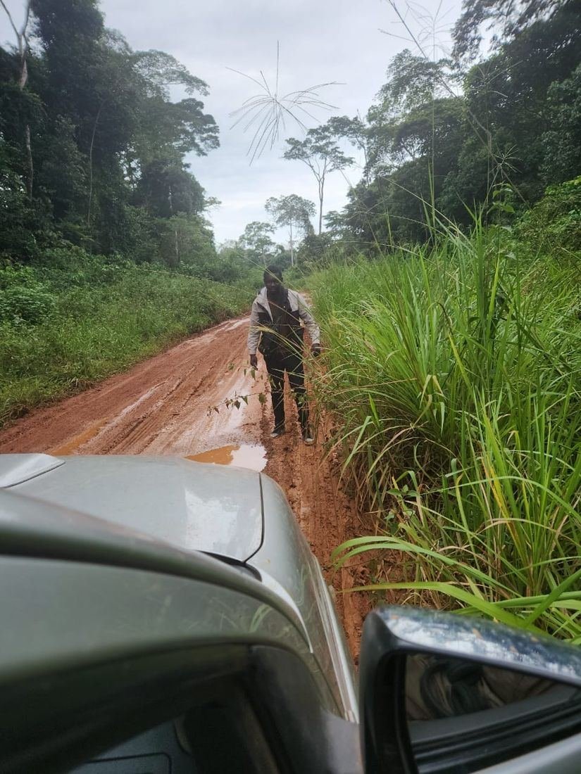 Piste d’accès vers les zones de travail