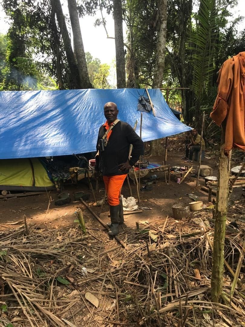 Camp de base en forêt